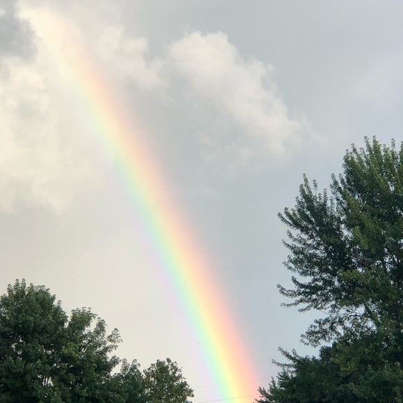 Meet your Posher, Amber - Picture 1 of 1